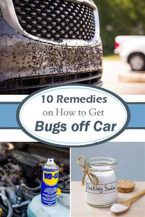 How to Get Bugs Off Car Home Remedies